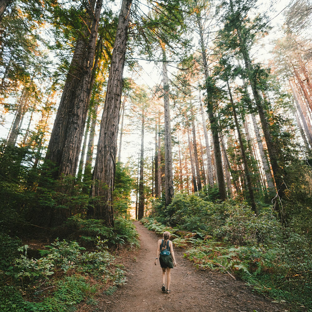 A woman walking in the forest - Inner Oak Therapy Psychotherapy